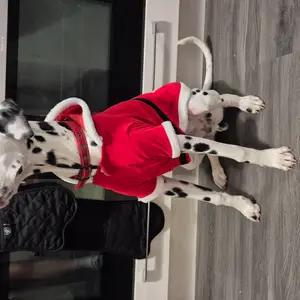 Santa coat - Image 2
