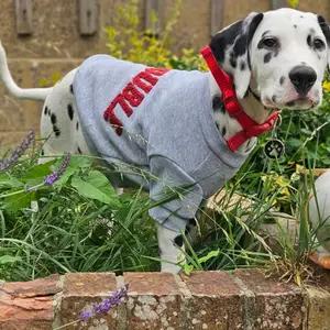 Dog jumper - Image 2