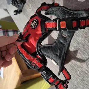 Red dog harness - Image 3