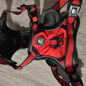 Red dog harness - Image 1