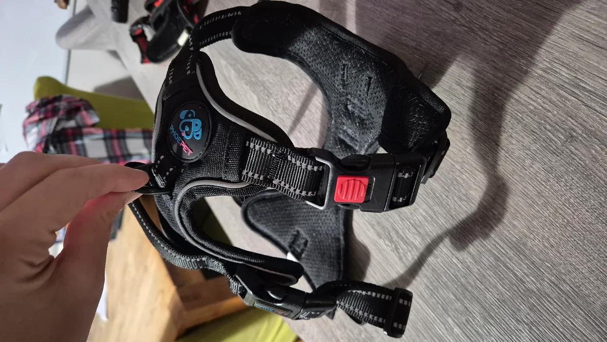 Dog harness