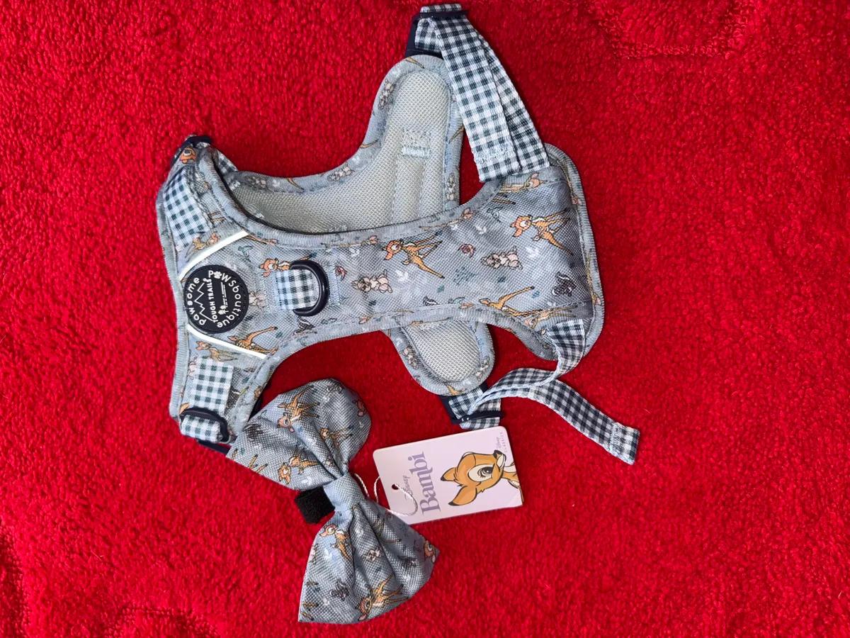 Pawsome paws boutique Bambi with large bow