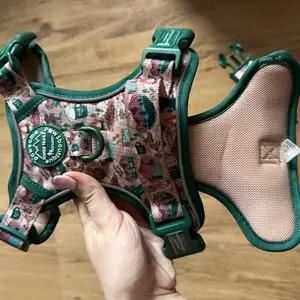 Adventures Await PPB Harness - Image 2