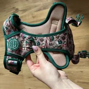 Adventures Await PPB Harness