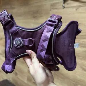 Plum Walkies Ready Harness