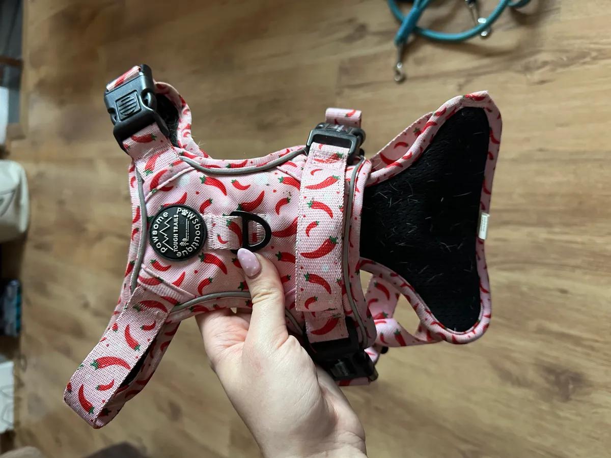 Chilli dog PPB Harness