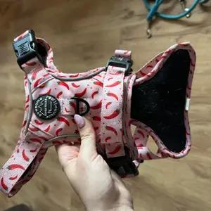 Chilli dog PPB Harness