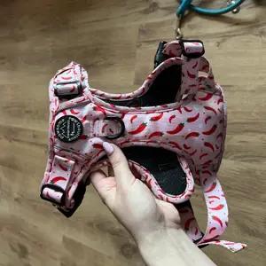 Chilli dog PPB Harness - Image 2