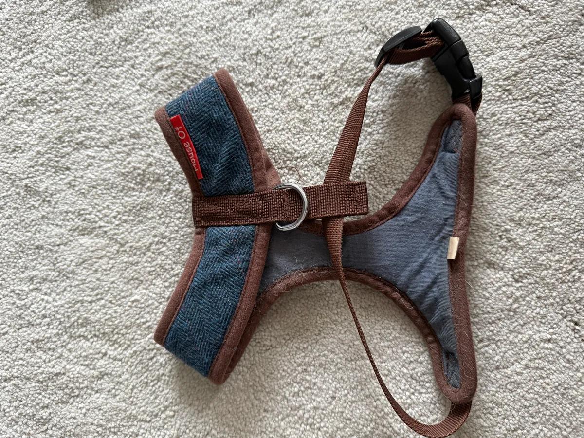 Dog harness