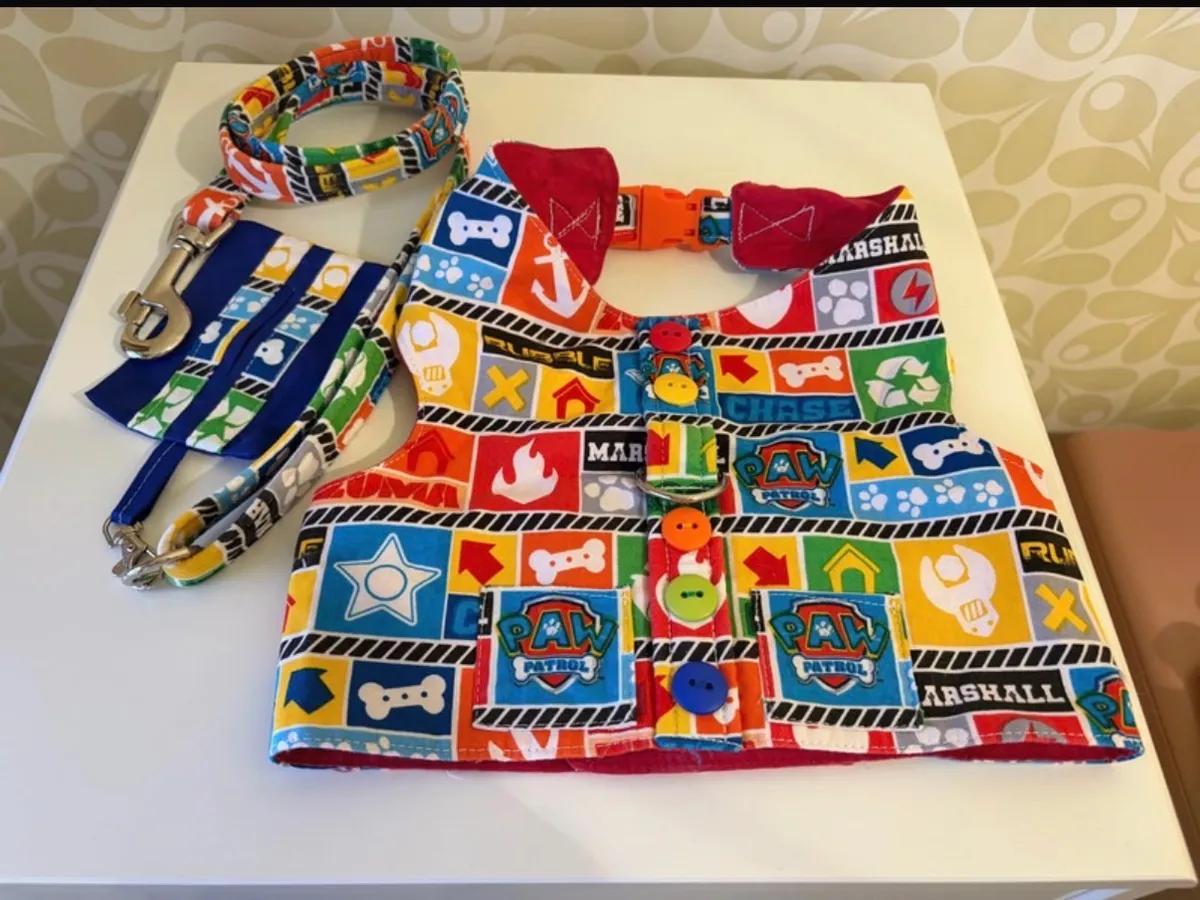 Paw Patrol Dig Harness,Lead & Poo bag holder
