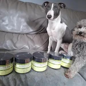 Speedy Mutz Dog Probiotic - Image 3