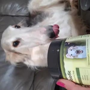 Speedy Mutz Dog Probiotic - Image 2