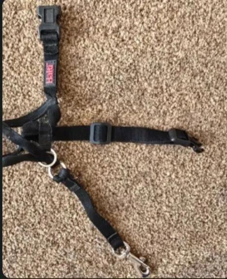 Halti Dog Headcollar - Size 0 (Small)