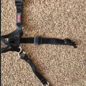 Halti Dog Headcollar - Size 0 (Small)