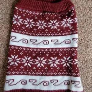 Dog Jumper
Burgundy & White
Size S
