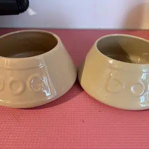 Cocker spaniel  bowl set of 2