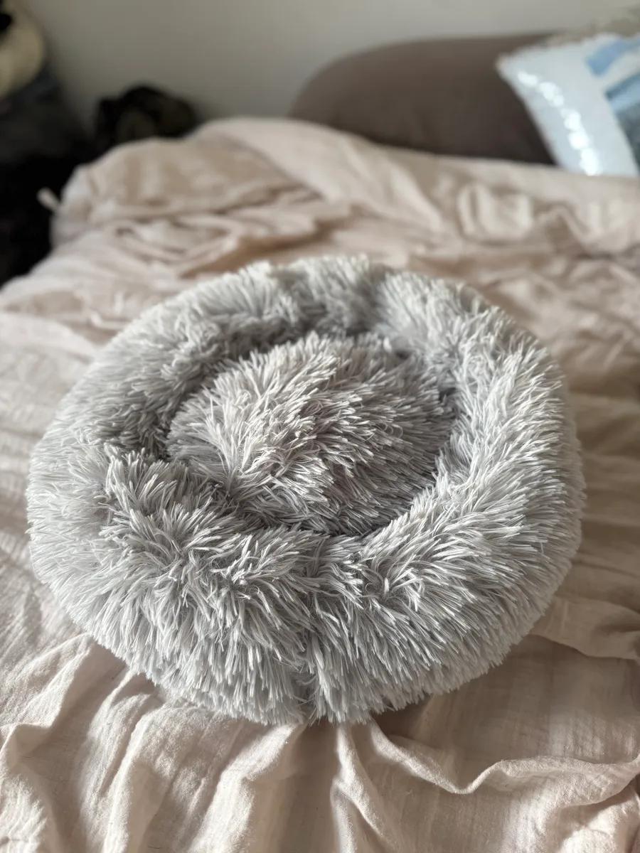 Doughnut cat/dog bed