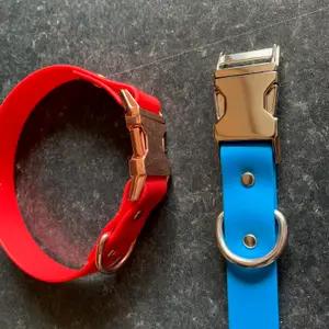 Leads and collars thumbnail 5