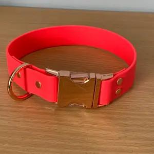 Leads and collars thumbnail 3