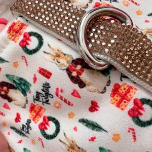 Peter Rabbit Christmas Dog Harness thumbnail 3
