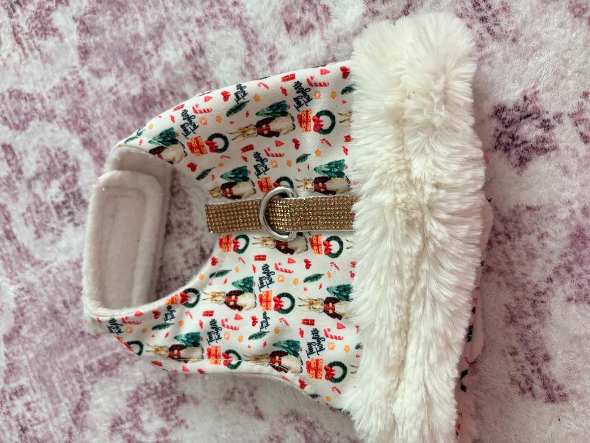 Peter Rabbit Christmas Dog Harness