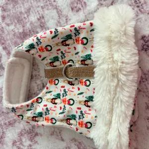 Peter Rabbit Christmas Dog Harness thumbnail 1