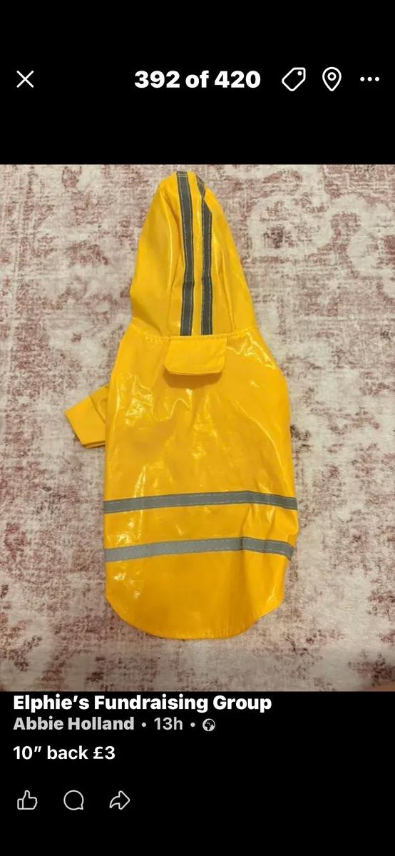 Small Dog Raincoat