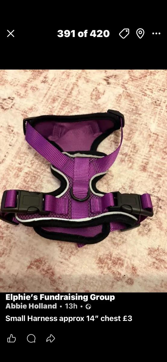 Small Purple Adjustable Harness