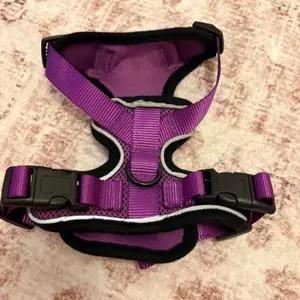 Small Purple Adjustable Harness