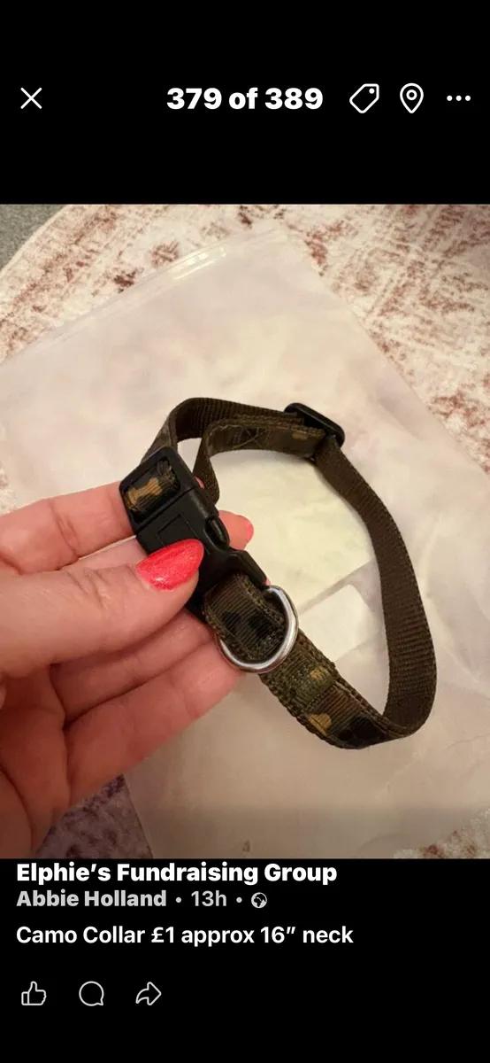 New Camo Small Dog Collar