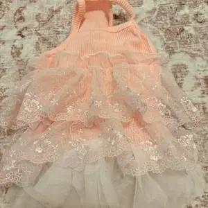 Sweet Pet Co Small Dog Dress