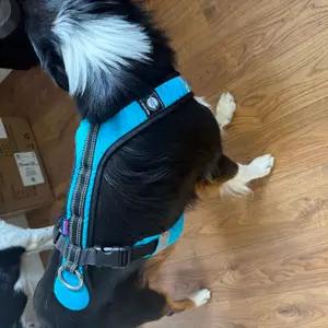 Zero DC - Canicross Harness thumbnail 4