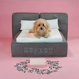 Soho bed pet hooman thumbnail 1