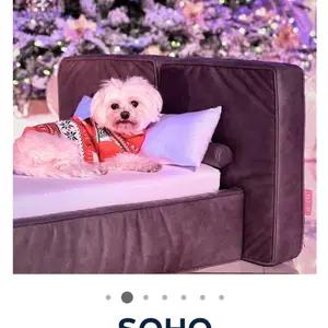 Soho bed pet hooman thumbnail 2
