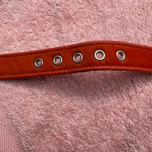 Dog collar - Holly & Lil - orange thumbnail 5