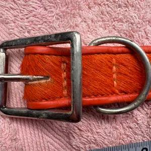 Dog collar - Holly & Lil - orange thumbnail 4