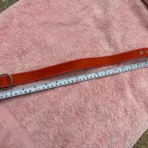 Dog collar - Holly & Lil - orange
