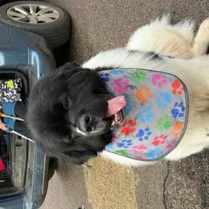 Big dog slobber bib hand made thumbnail 2