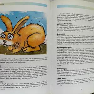 The really useful Bunny guide - rabbit book thumbnail 3