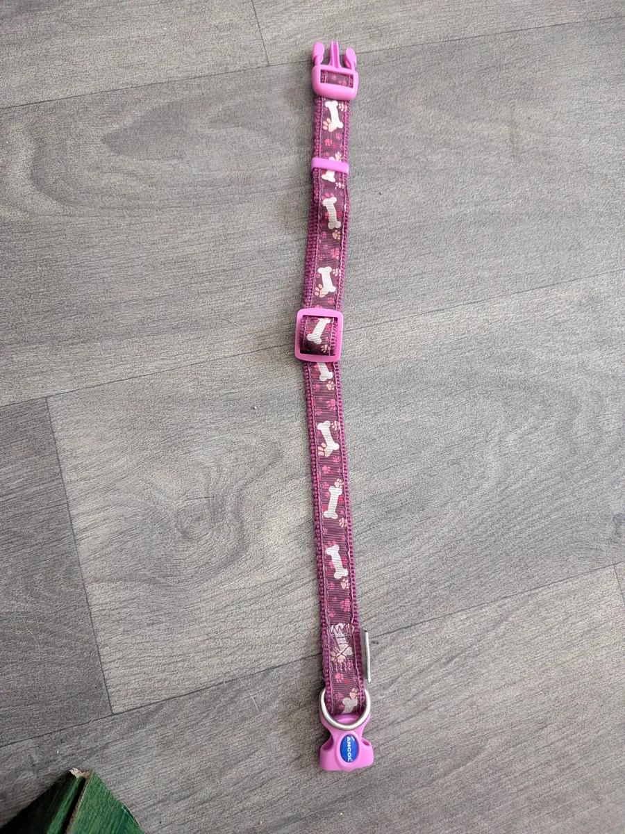 Pretty Purple Dog Collar 