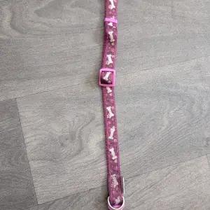 Pretty Purple Dog Collar 
