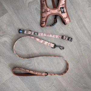 Cute Collar Harness and Lead Set thumbnail 2