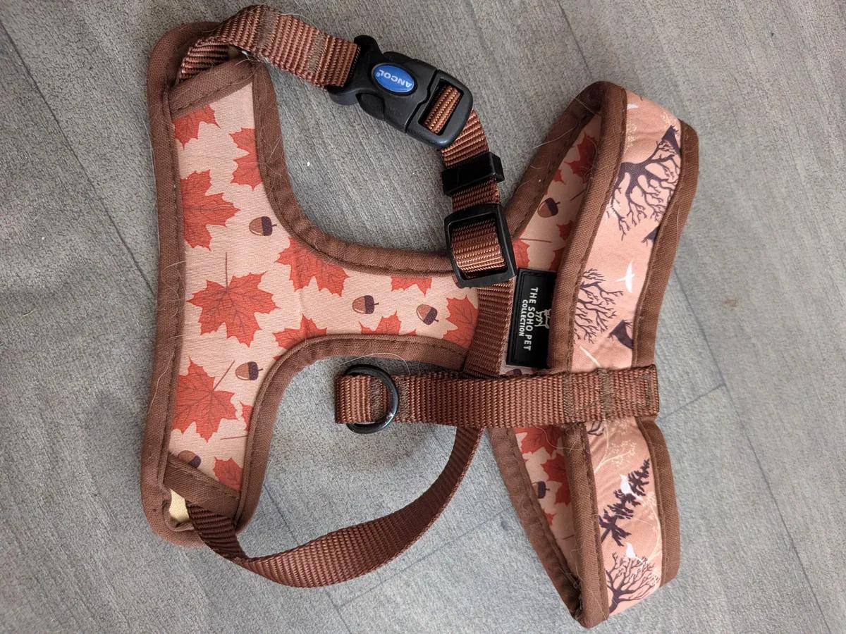 Cute Collar Harness and Lead Set