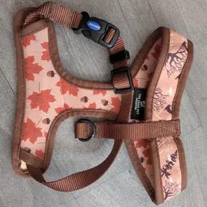 Cute Collar Harness and Lead Set