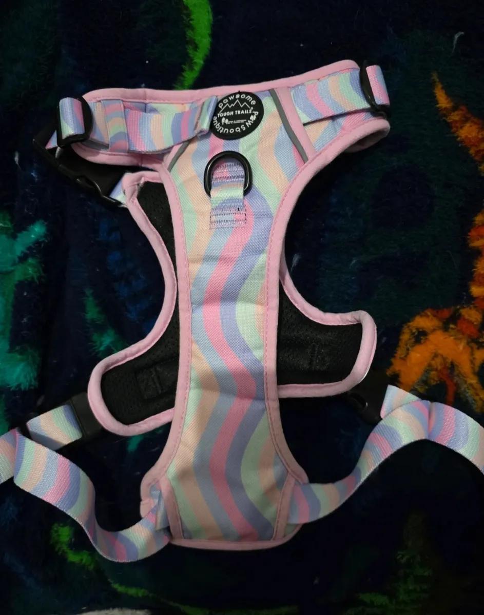 Pawsome boutique harness