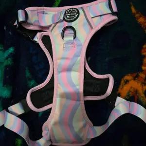 Pawsome boutique harness