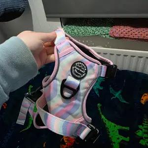 Pawsome boutique harness thumbnail 4