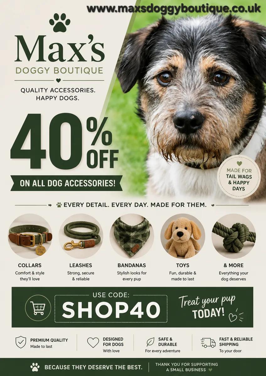 Dog accessories 