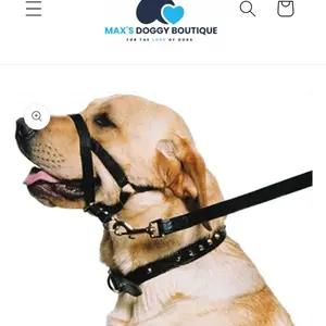 Dog accessories  thumbnail 3