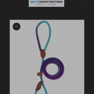 Dog accessories  thumbnail 7